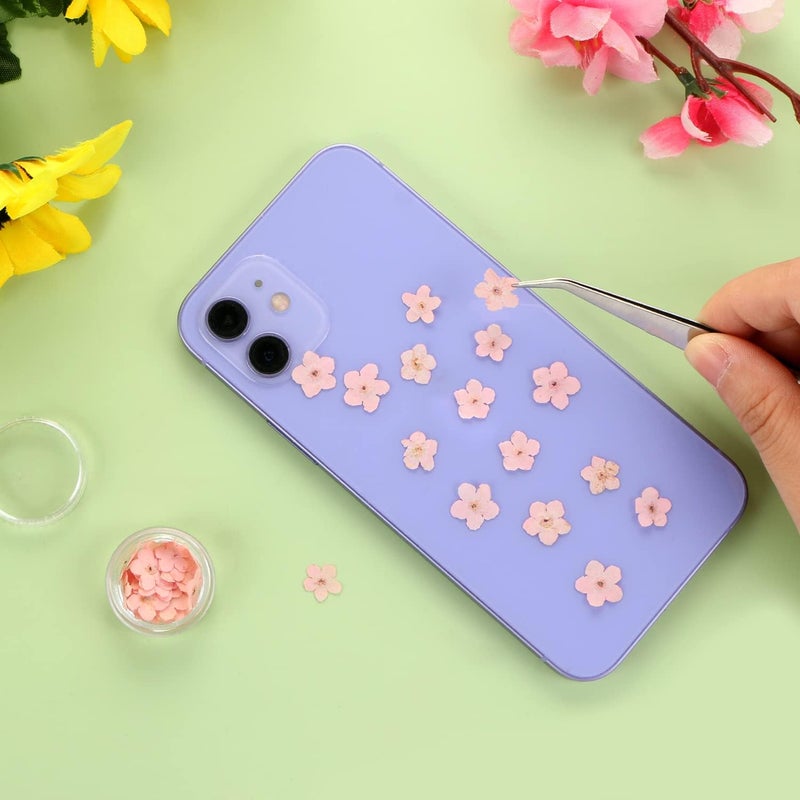 DREMISI 50Pcs Forget Me Not Dried Flowers Don't Forget Me Dried Flowers Natural Dried Pressed Flowers with Forceps for Resin Jewelry Making Candle Nail Art Flower Ornaments Paper Making Supplies, Pink - Image 4